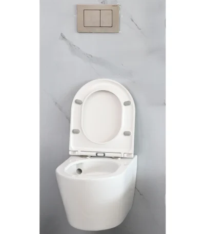 Toilets and Bidets