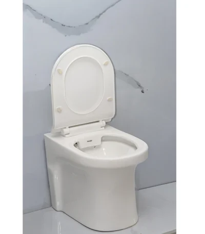 Floor-Mounted Toilet