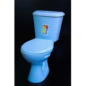 Close Couple Toilet Design