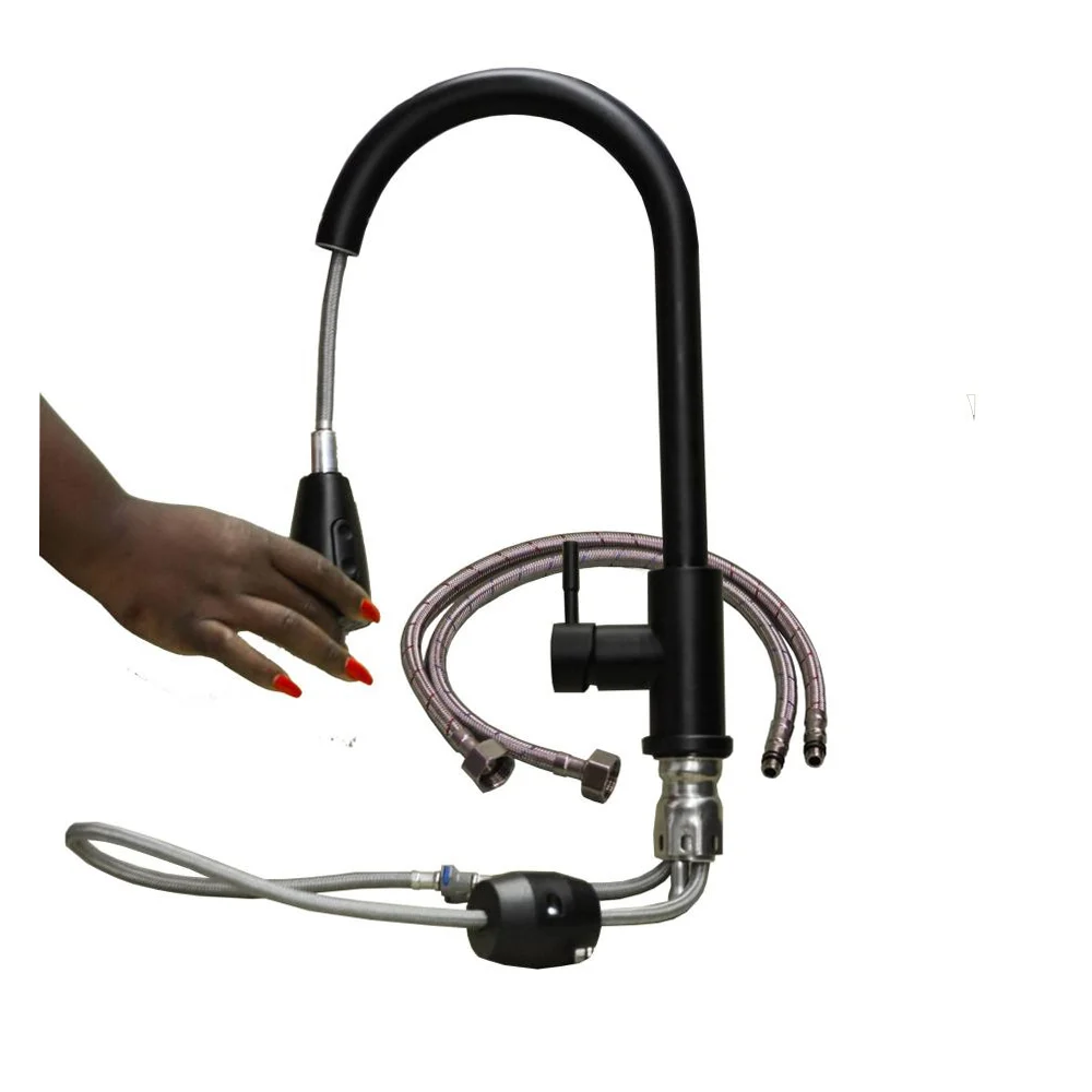 Black Kitchen Mixer with a Pull Down Flex - SS304