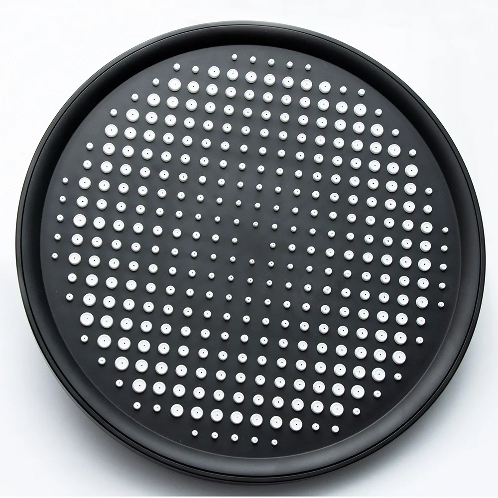 10" Flower Shower Head Black