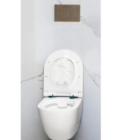 Toilets and Bidets